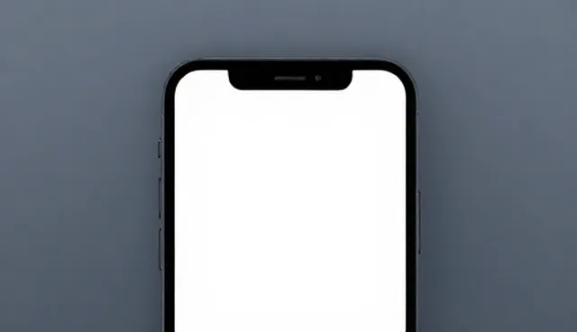 基础版APP开发选型关注点解析
